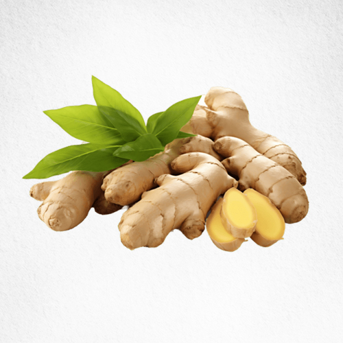 Ginger
