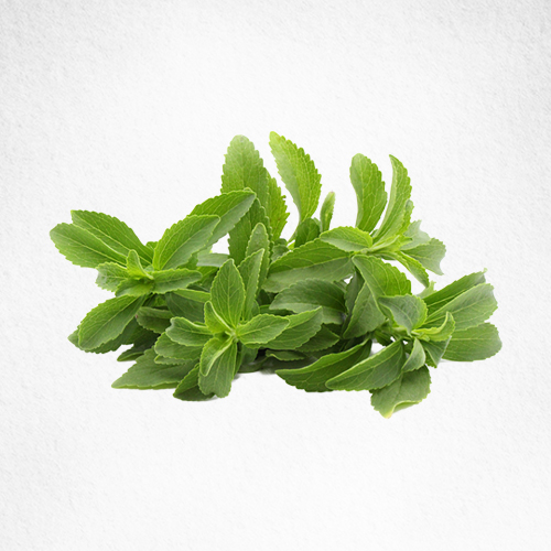 Stevia