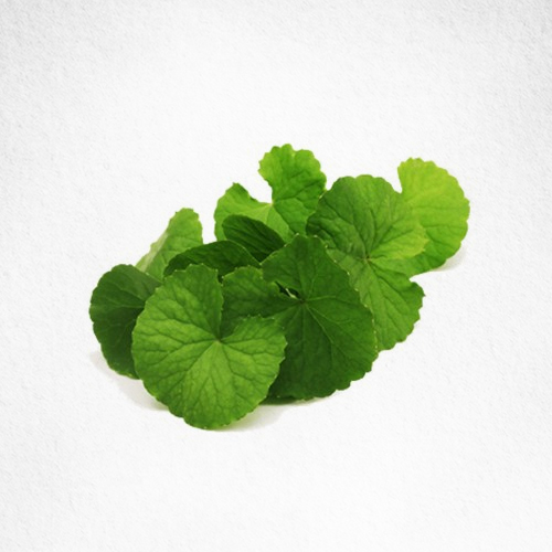 Brahmi