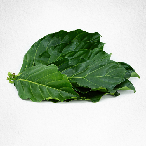 Noni