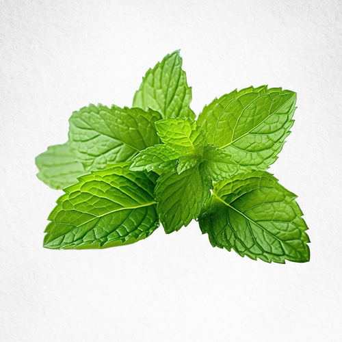Mint