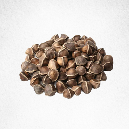 Moringa Seeds