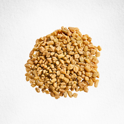 Fenugreek