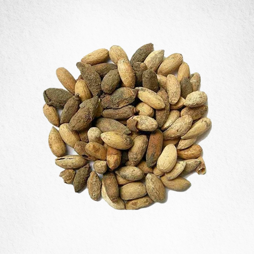 Neem Seeds
