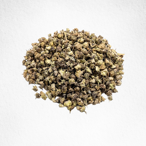 Tribulus