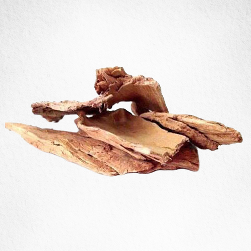 Arjuna Bark