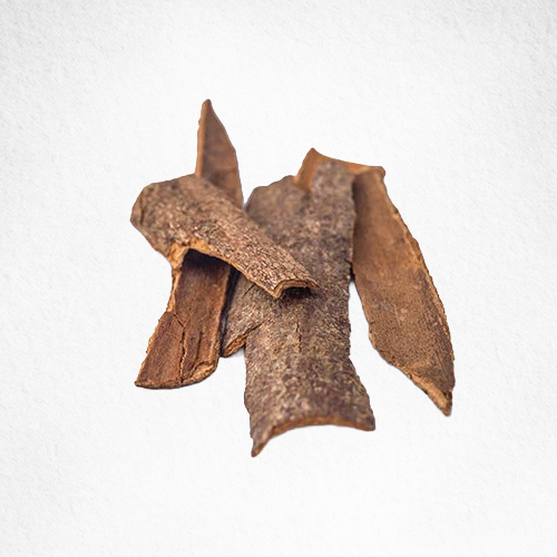 Ashoka Bark