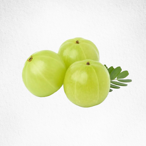 Amla Herb